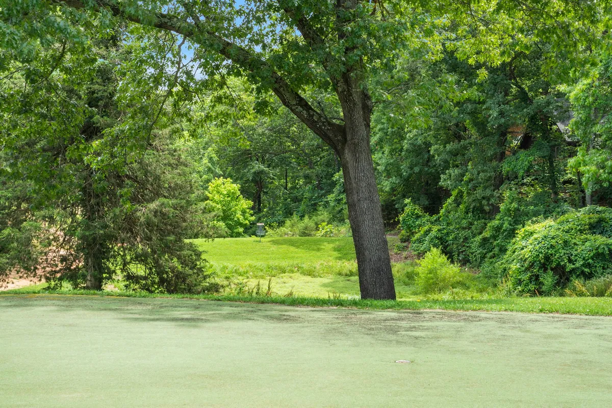 A serene open area highlighted by a large shade tree, lush green grass, and distant foliage. The space presents an ideal spot for picnicking, casual strolls, or letting a pet roam and play safely.